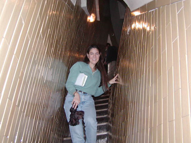 Walkway to Top